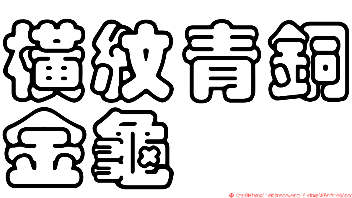 橫紋青銅金龜