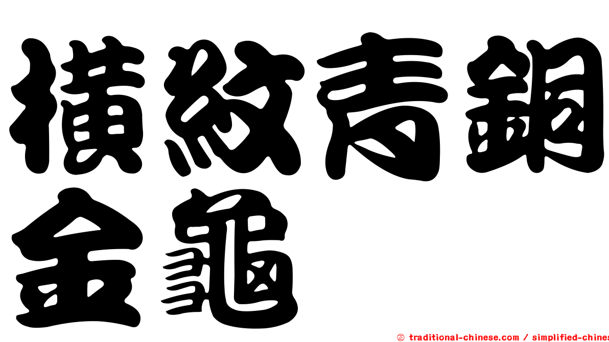 橫紋青銅金龜