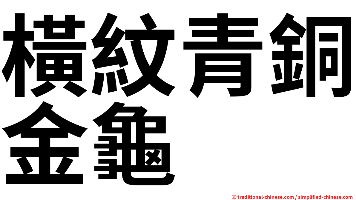 橫紋青銅金龜