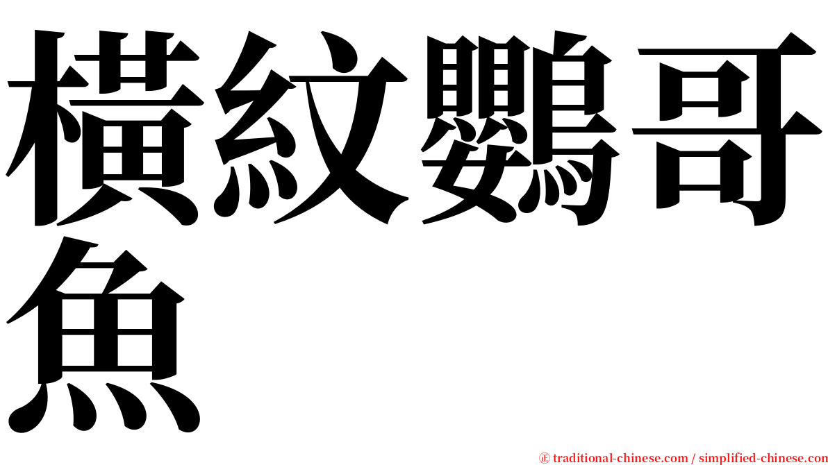 橫紋鸚哥魚 serif font