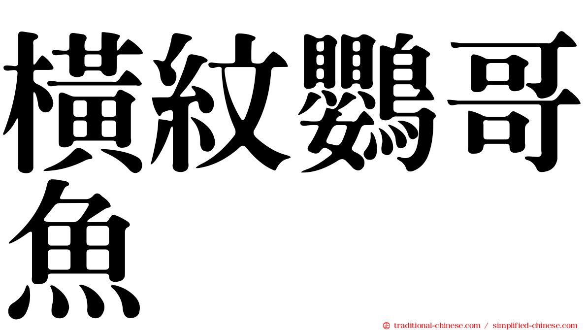 橫紋鸚哥魚