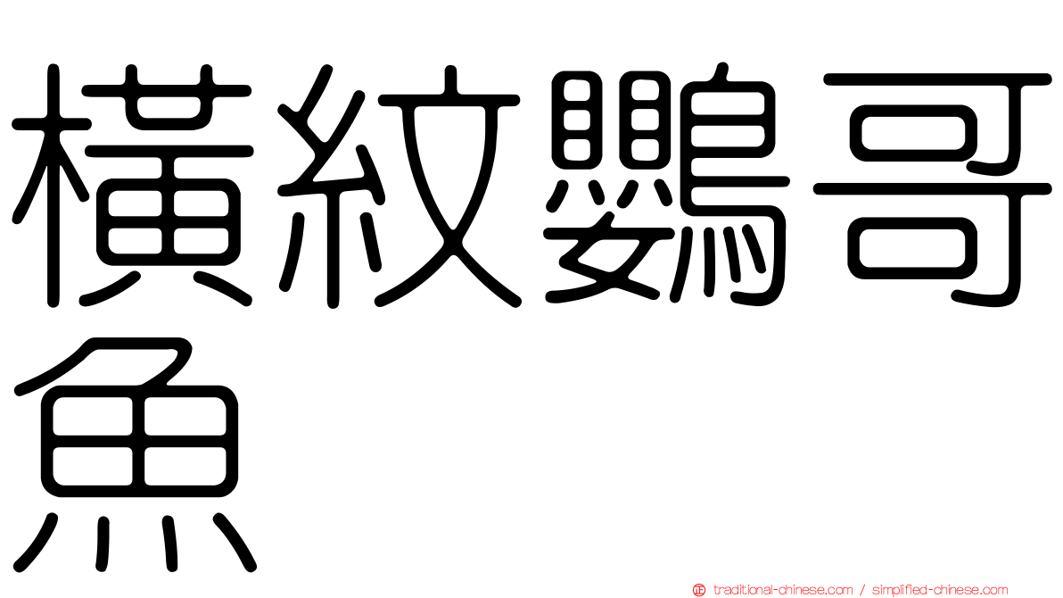 橫紋鸚哥魚