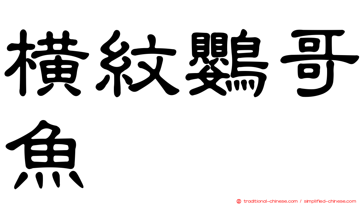 橫紋鸚哥魚