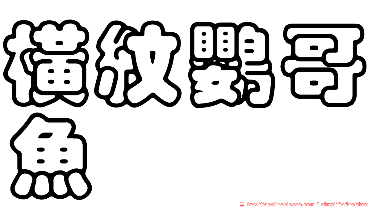 橫紋鸚哥魚