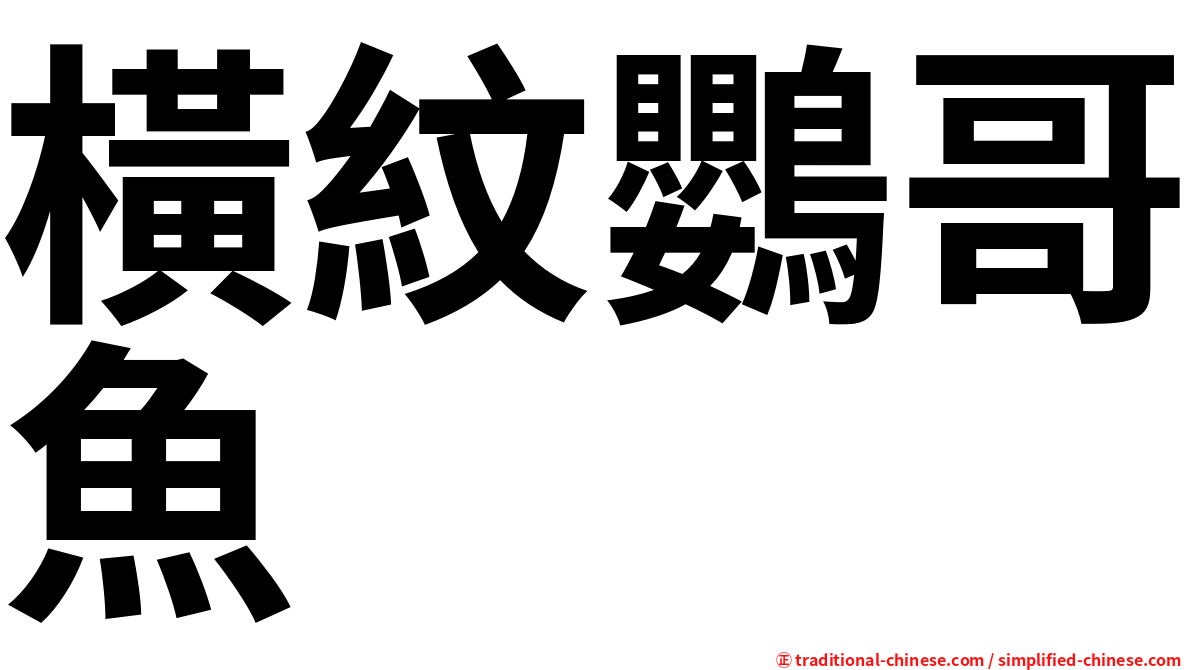橫紋鸚哥魚