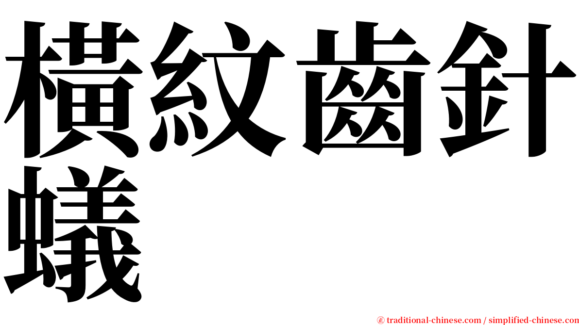 橫紋齒針蟻 serif font