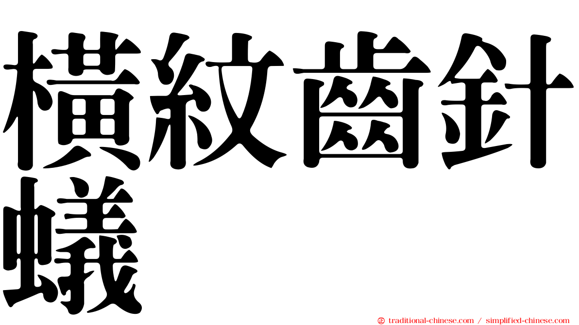 橫紋齒針蟻