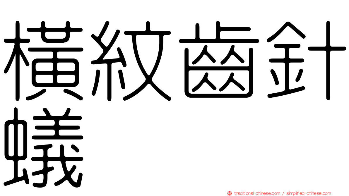 橫紋齒針蟻