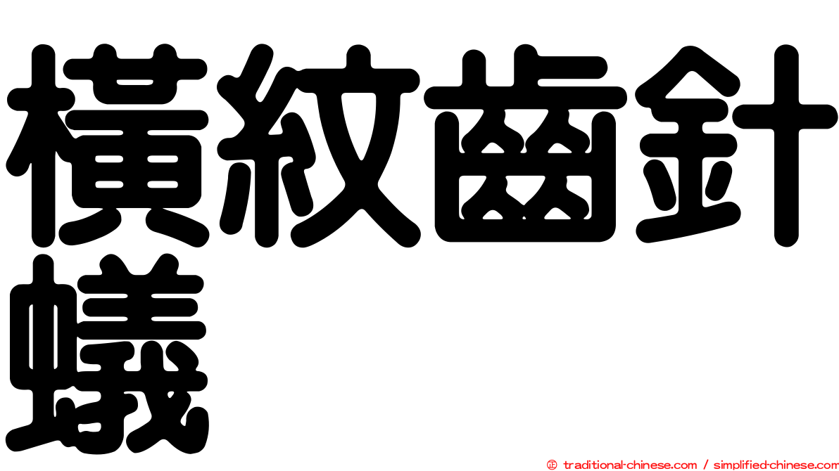 橫紋齒針蟻