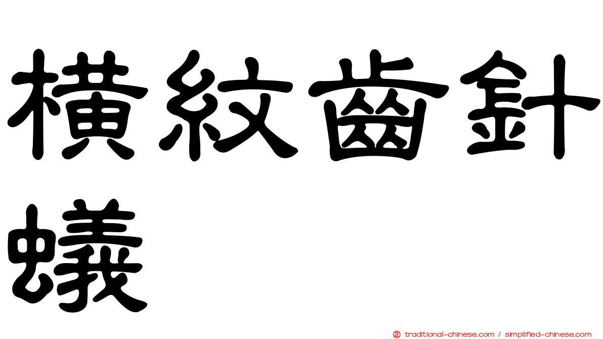 橫紋齒針蟻