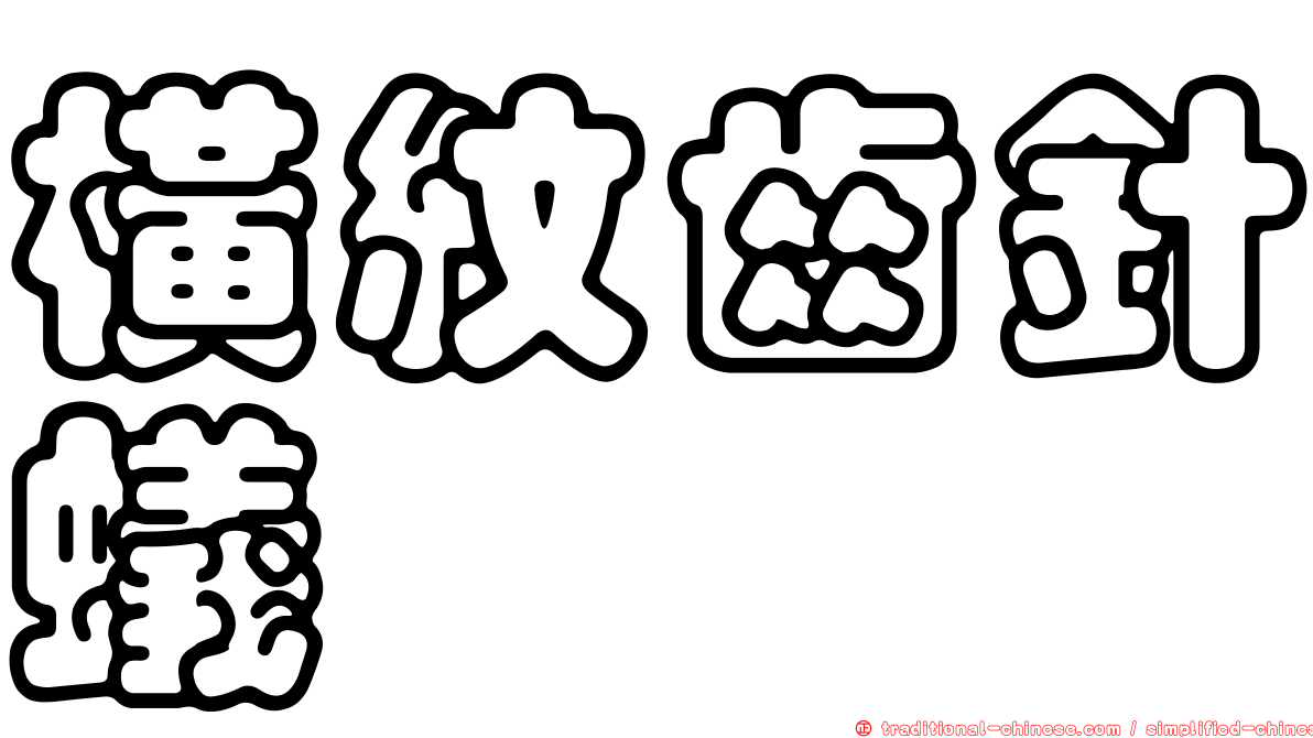 橫紋齒針蟻