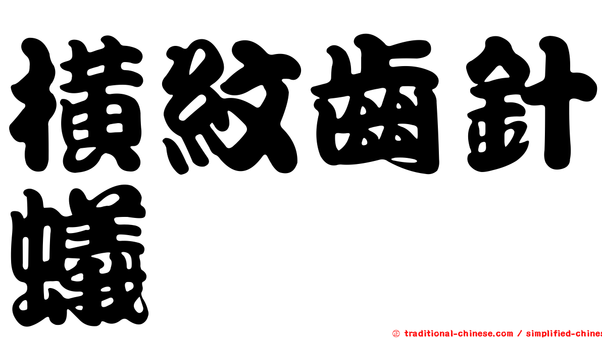 橫紋齒針蟻