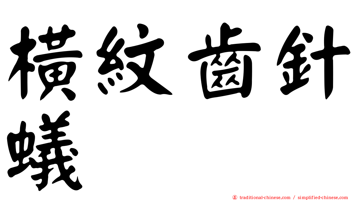橫紋齒針蟻