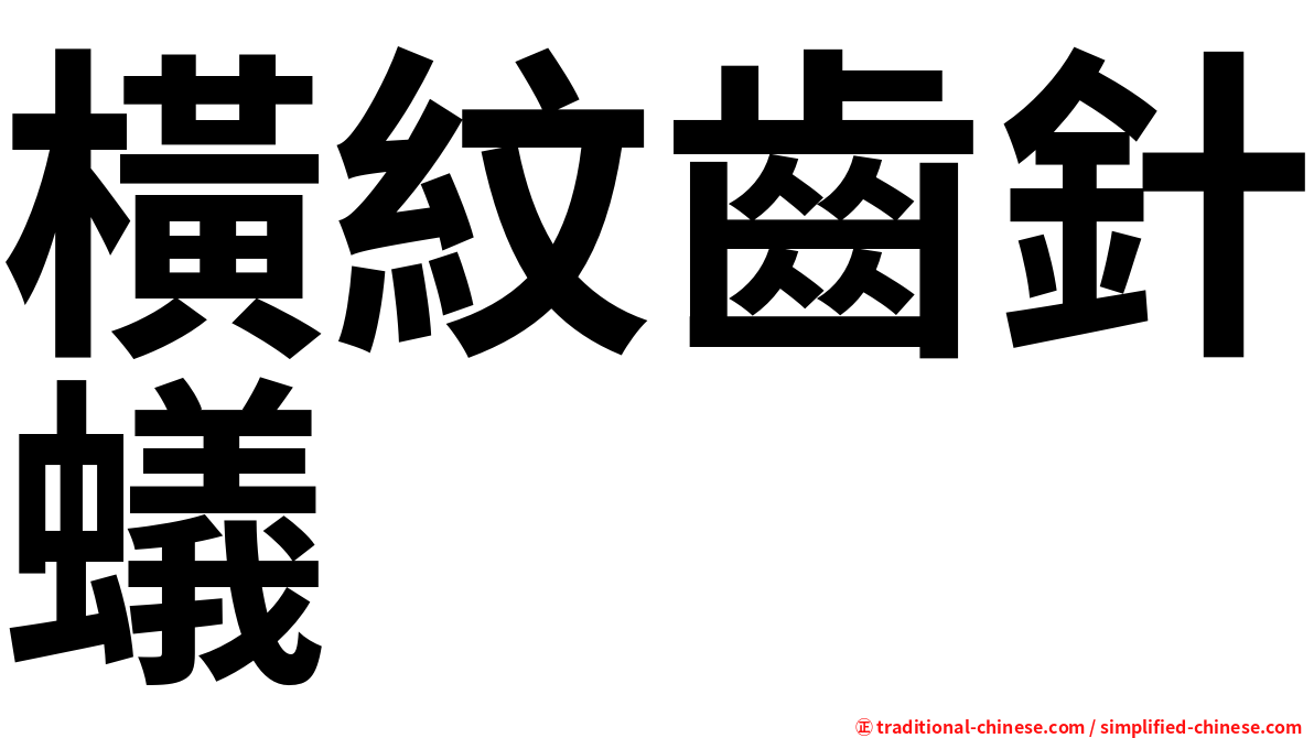 橫紋齒針蟻