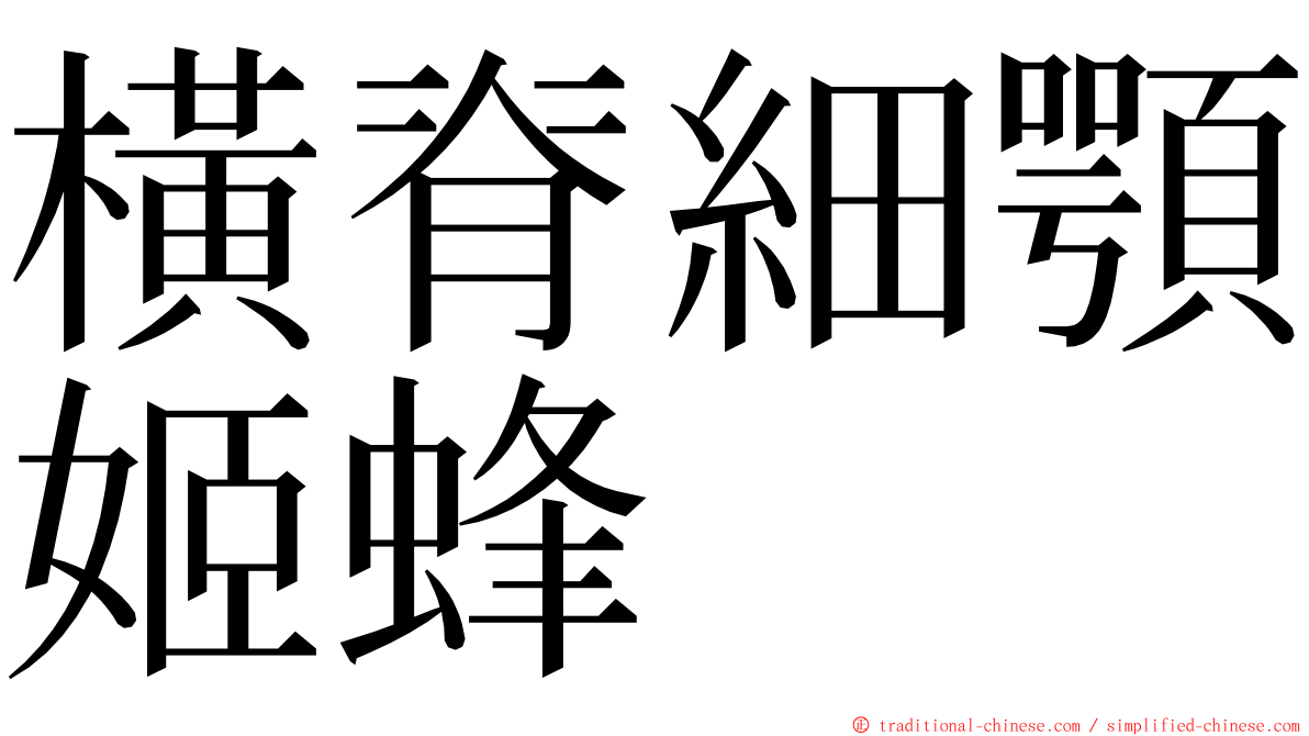 橫脊細顎姬蜂 ming font