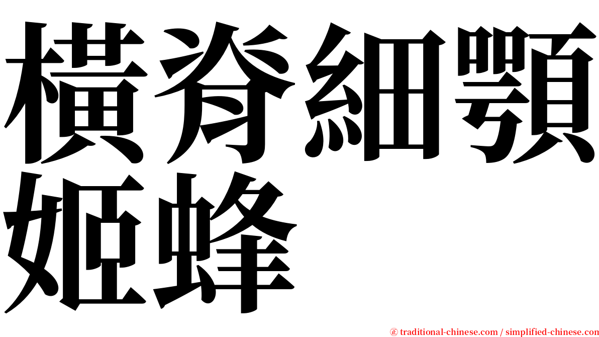 橫脊細顎姬蜂 serif font