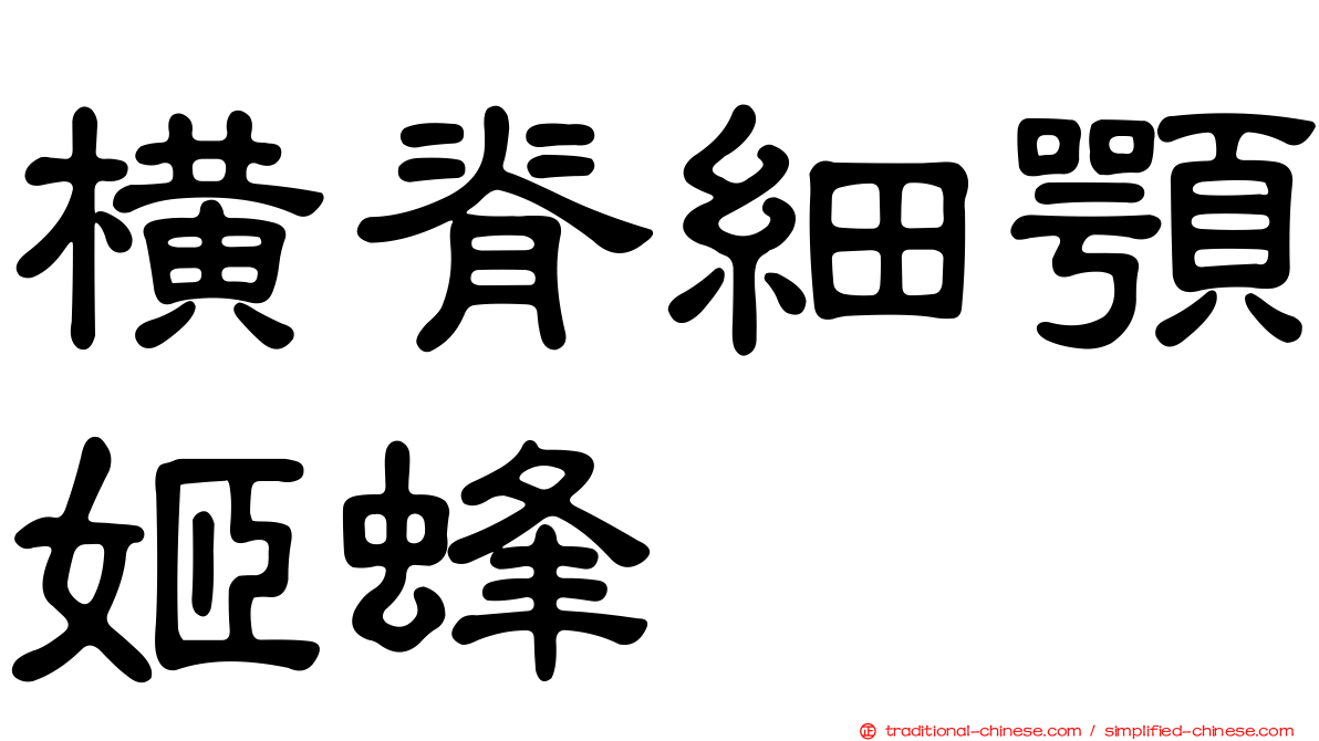 橫脊細顎姬蜂