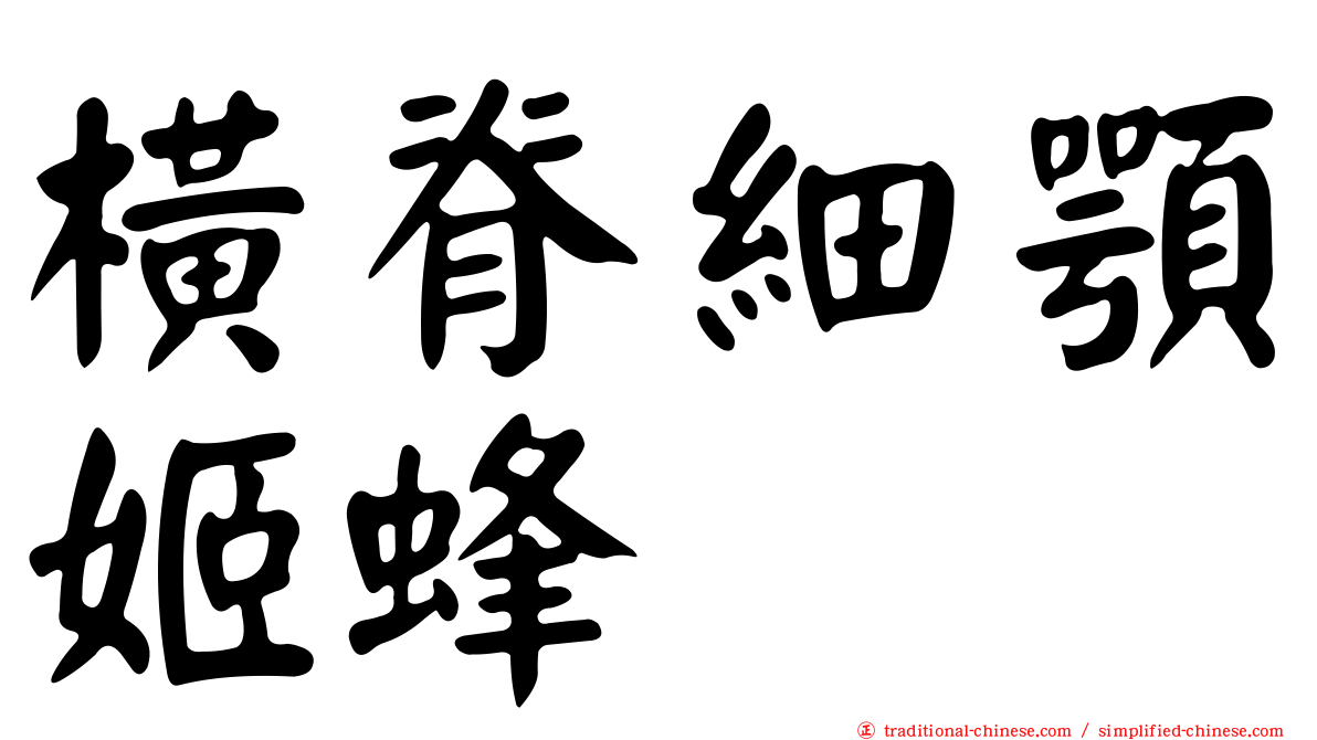橫脊細顎姬蜂