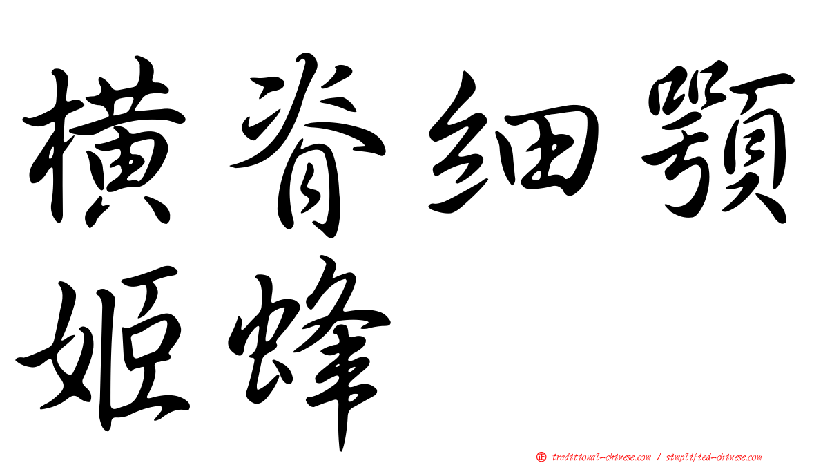 橫脊細顎姬蜂