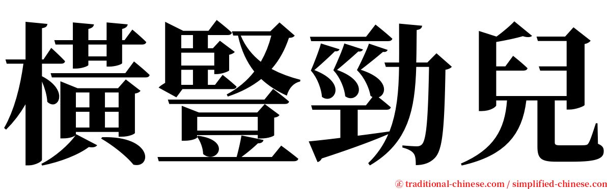 橫豎勁兒 serif font