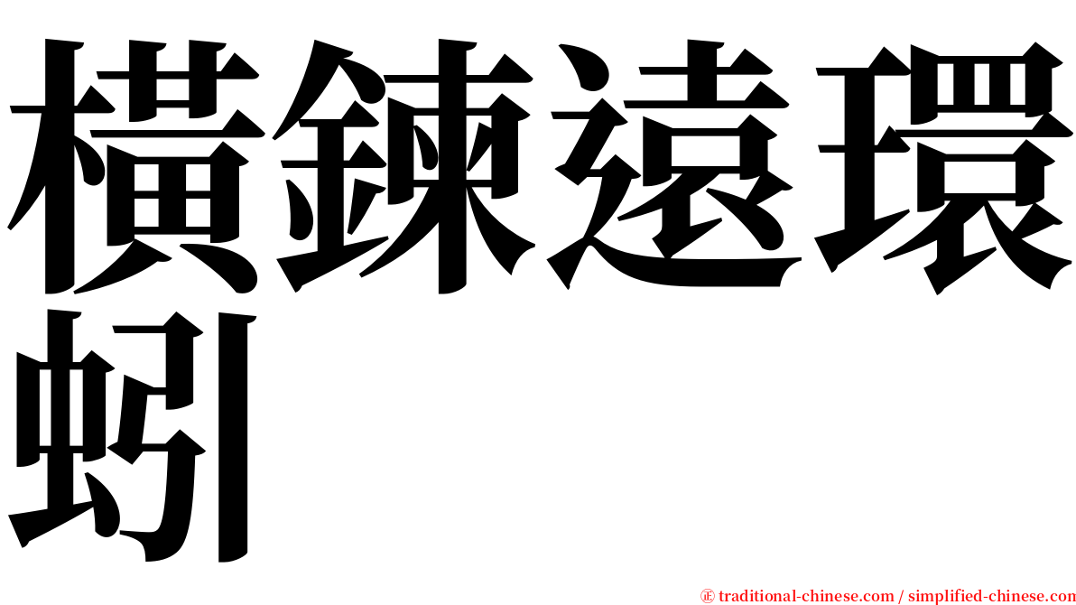 橫鍊遠環蚓 serif font