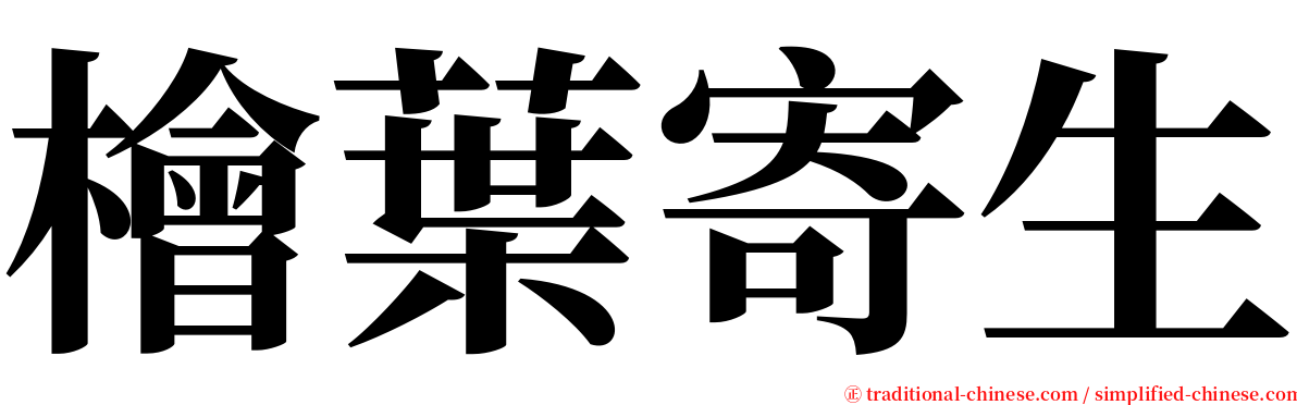 檜葉寄生 serif font