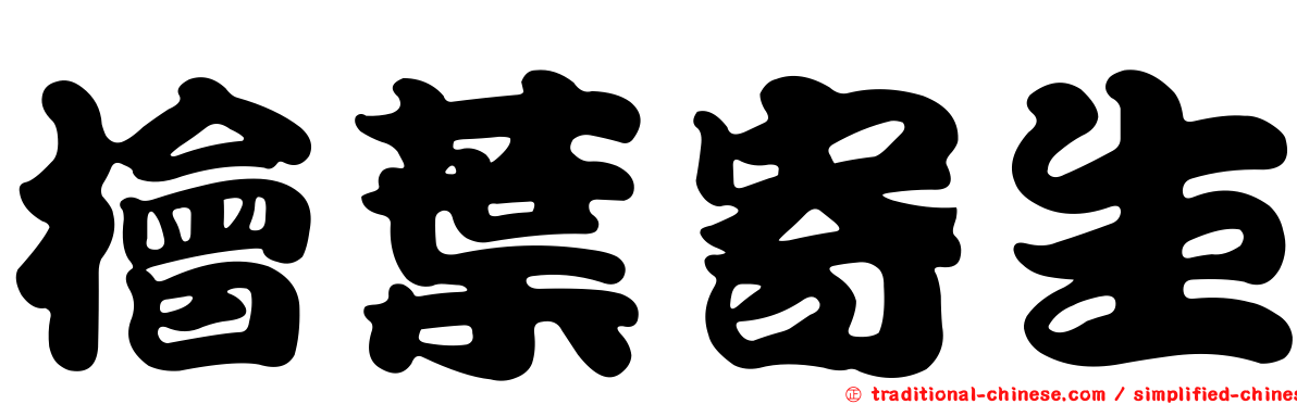 檜葉寄生