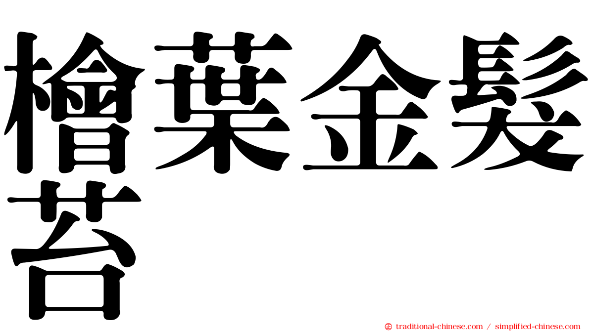 檜葉金髮苔