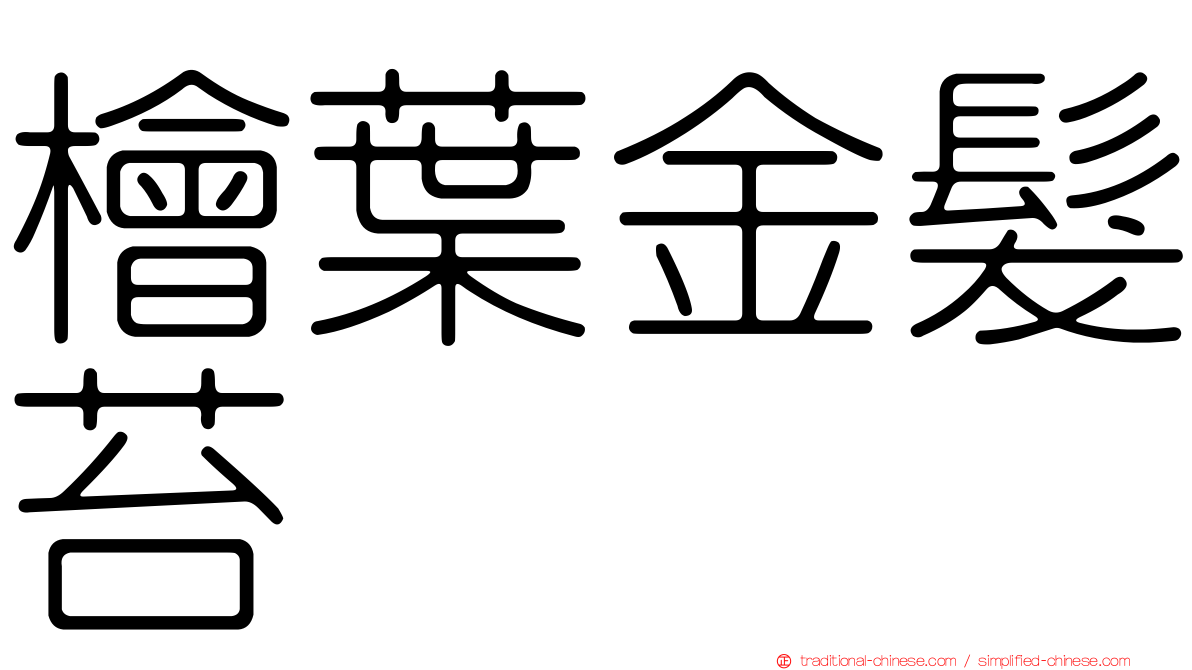 檜葉金髮苔