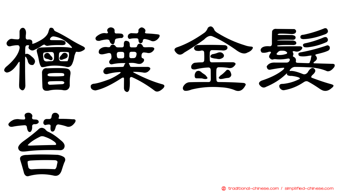 檜葉金髮苔