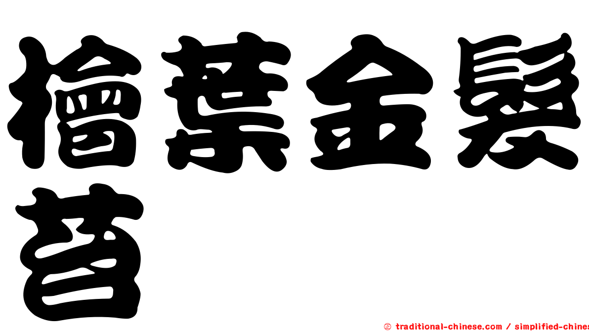檜葉金髮苔