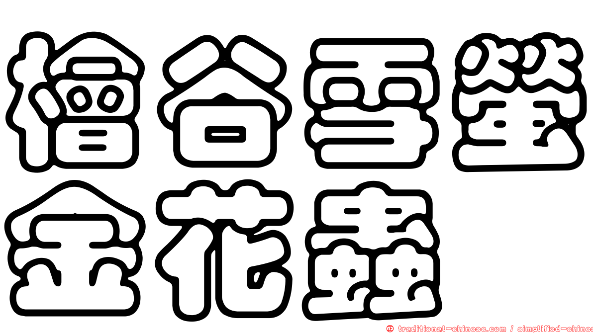 檜谷雪螢金花蟲