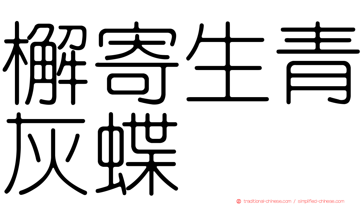 檞寄生青灰蝶
