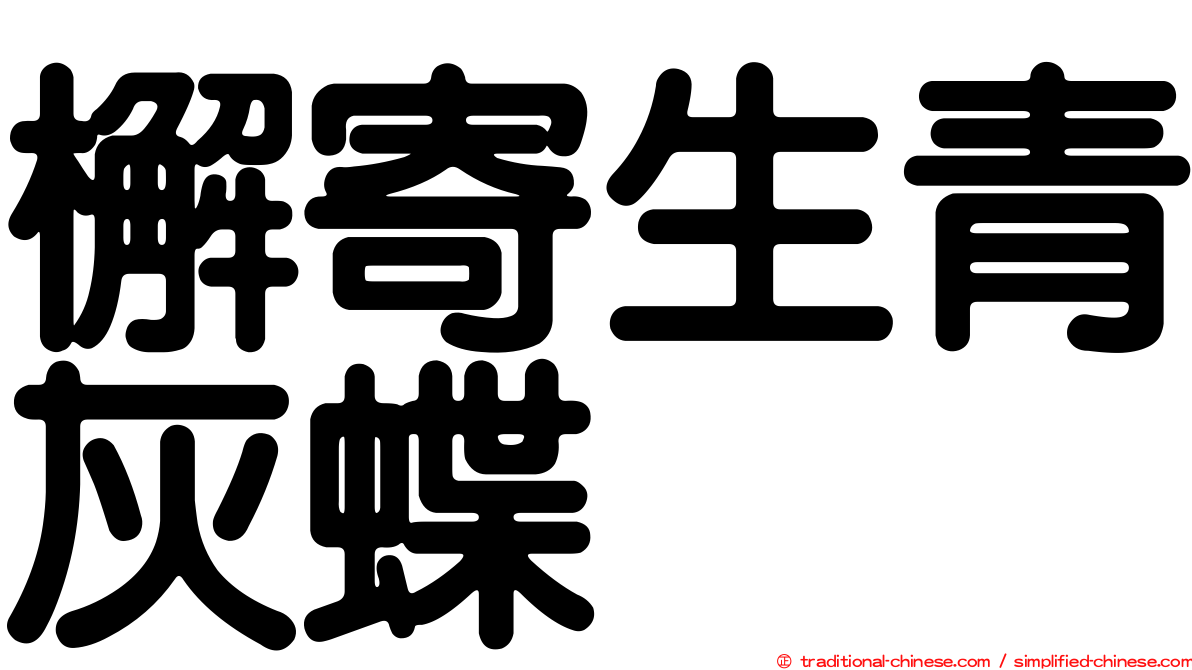 檞寄生青灰蝶