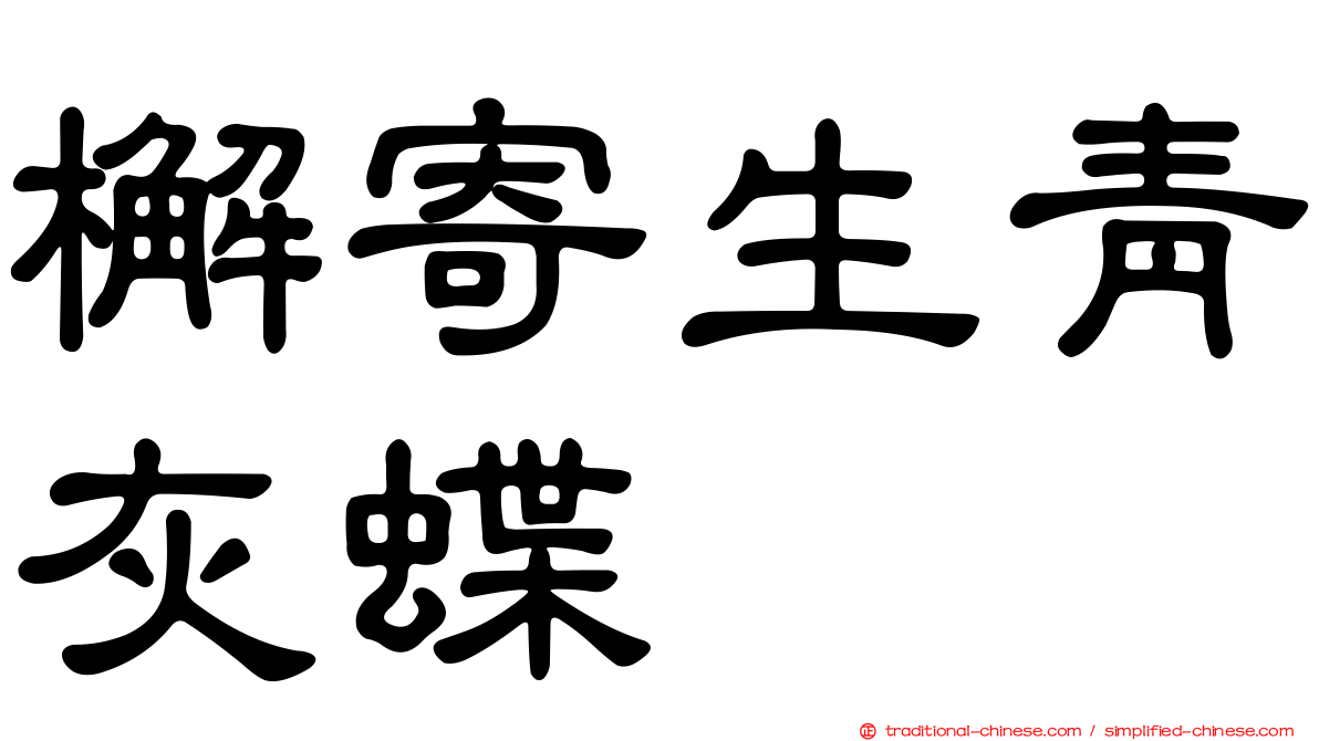 檞寄生青灰蝶