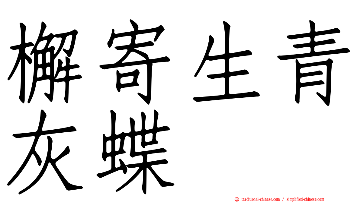 檞寄生青灰蝶