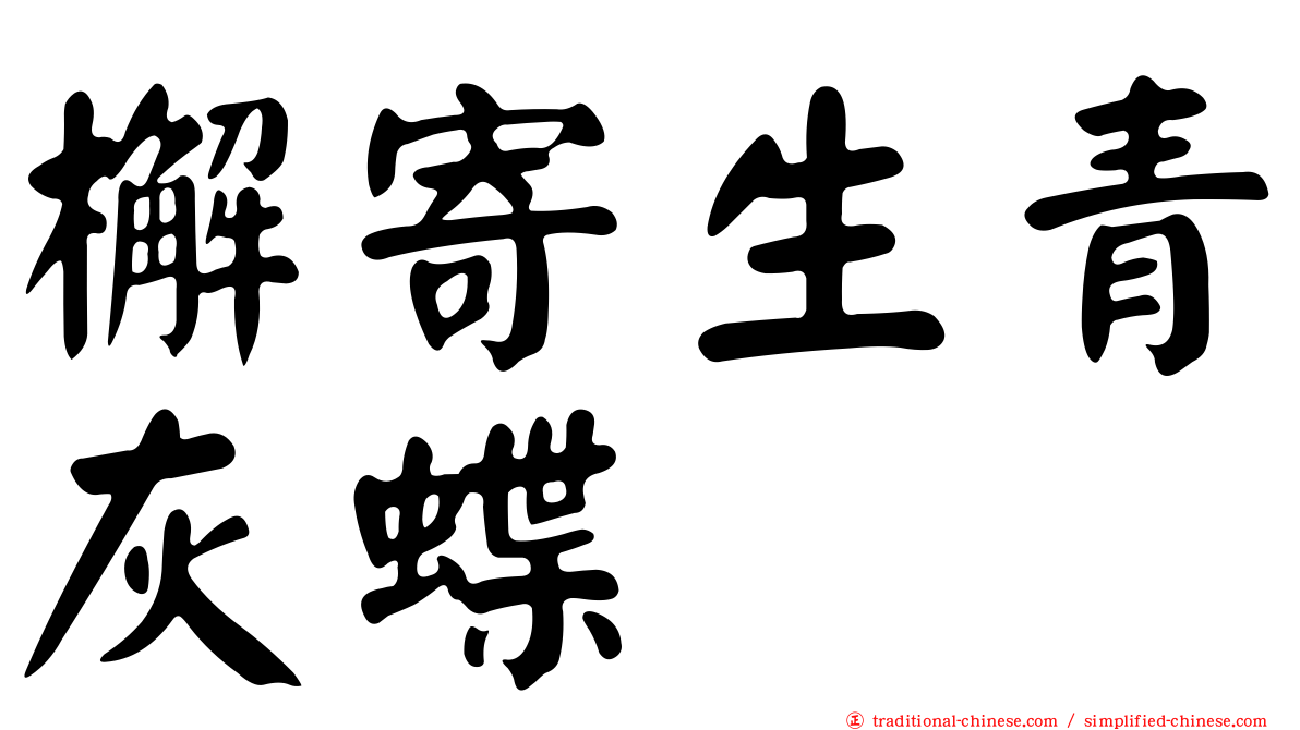 檞寄生青灰蝶