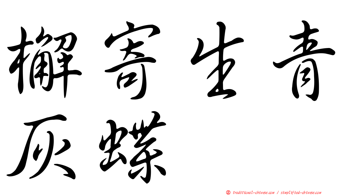 檞寄生青灰蝶