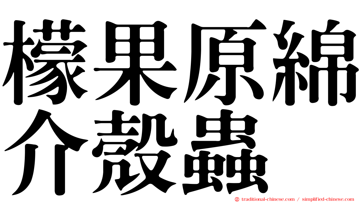 檬果原綿介殼蟲