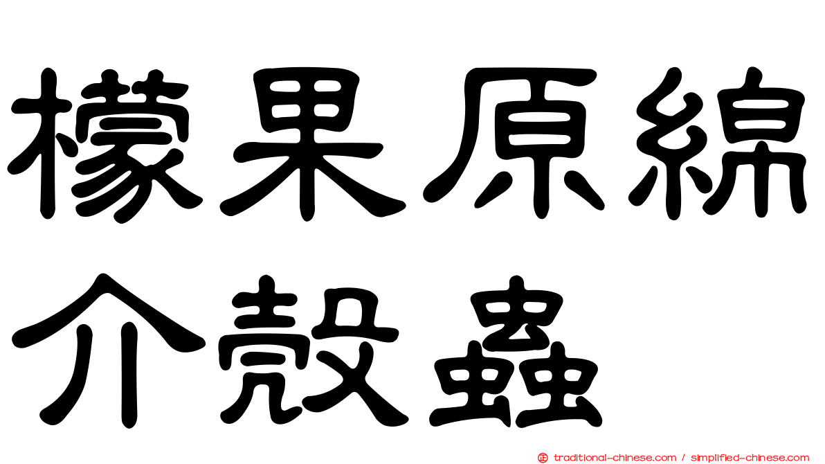 檬果原綿介殼蟲