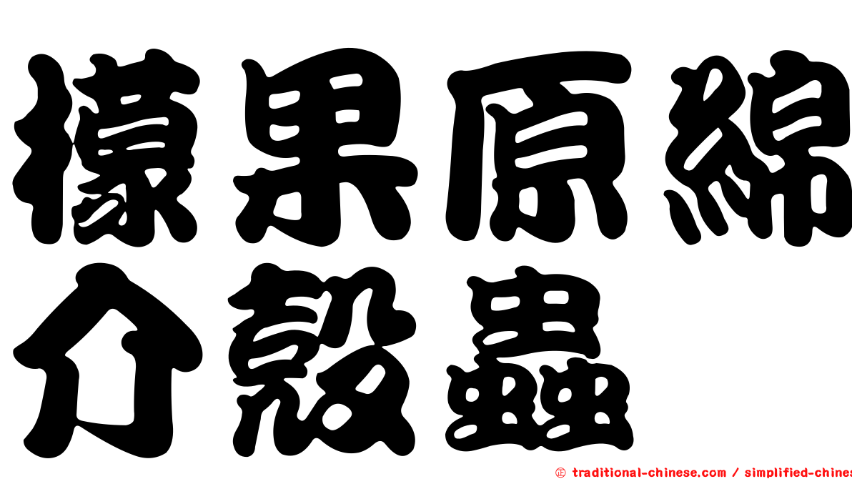 檬果原綿介殼蟲