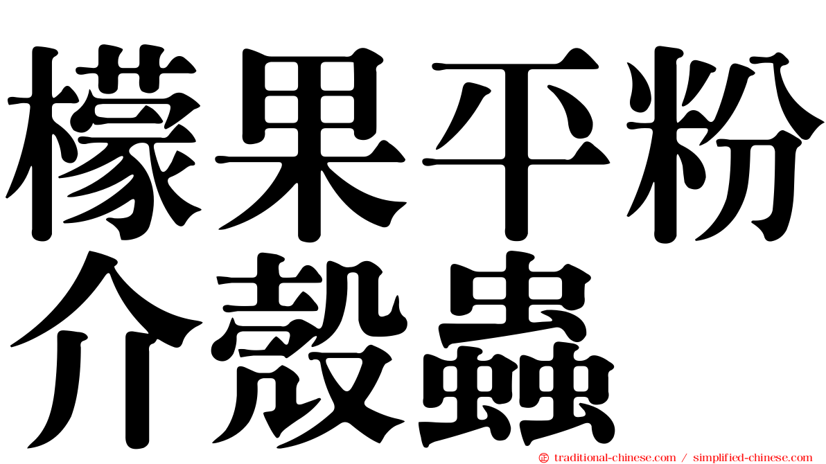 檬果平粉介殼蟲