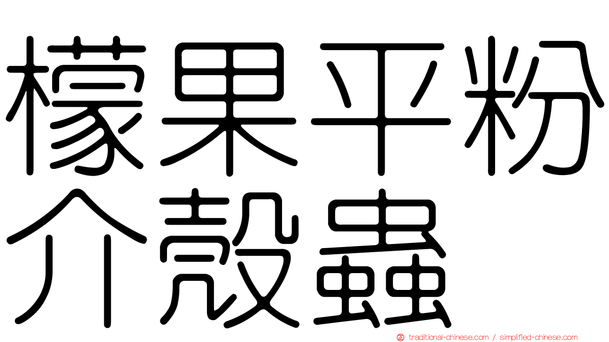 檬果平粉介殼蟲