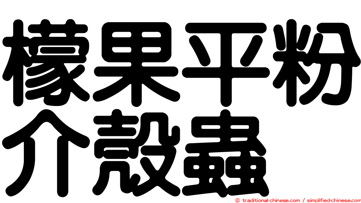 檬果平粉介殼蟲