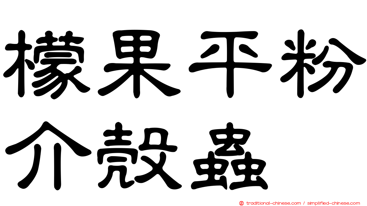 檬果平粉介殼蟲