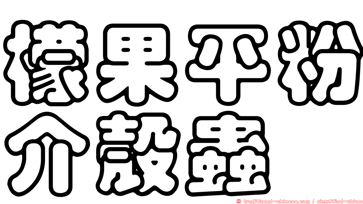 檬果平粉介殼蟲