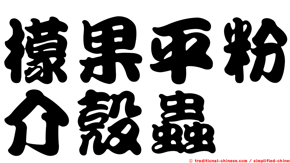 檬果平粉介殼蟲
