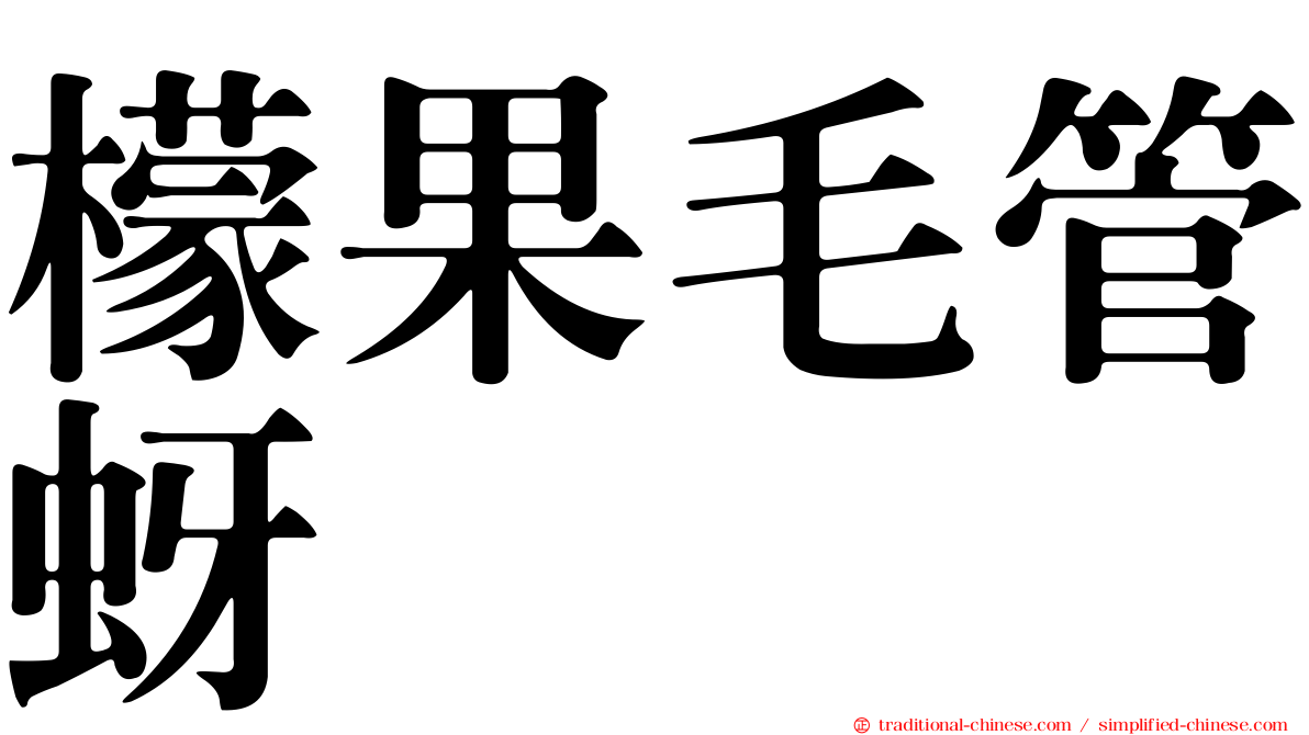 檬果毛管蚜