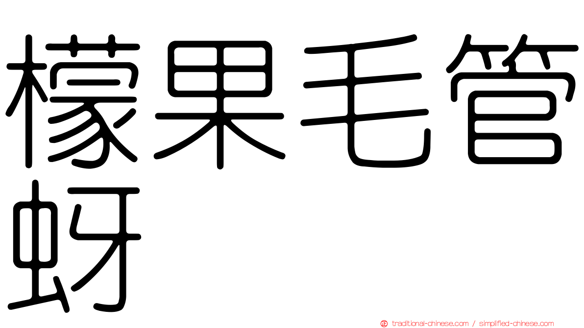 檬果毛管蚜