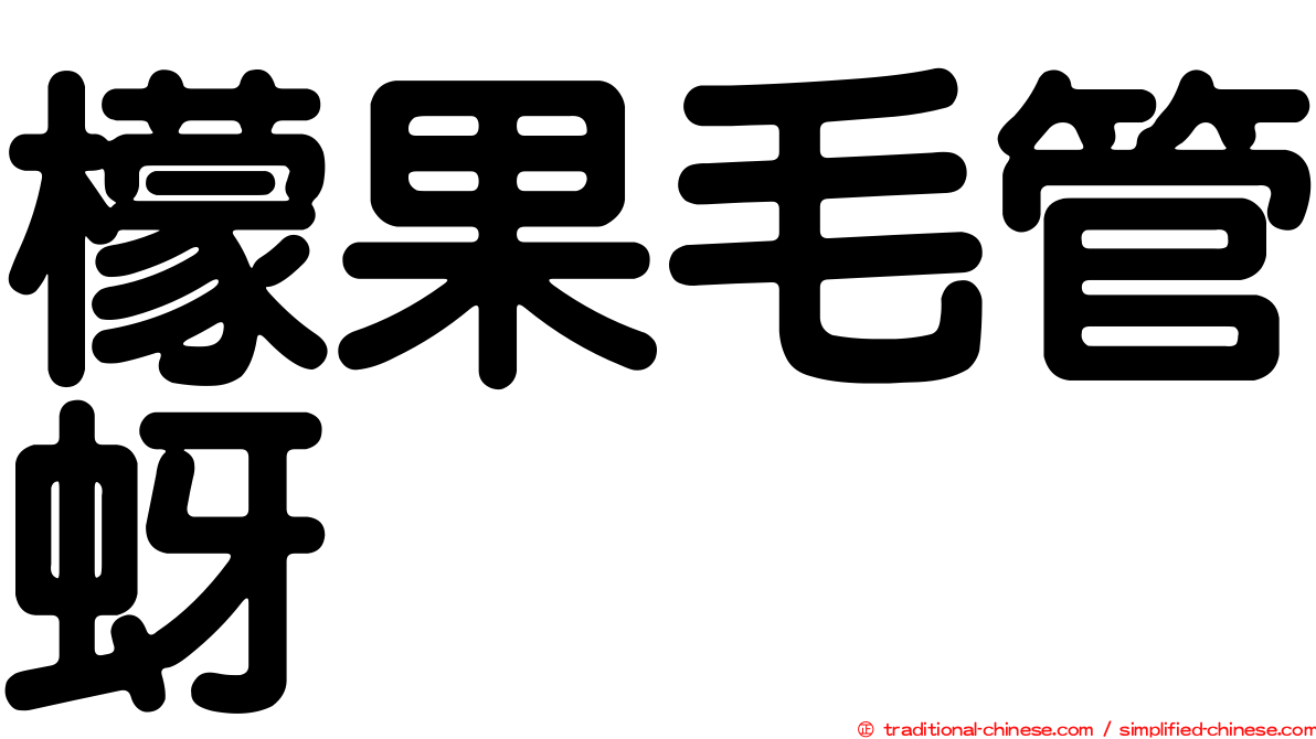 檬果毛管蚜